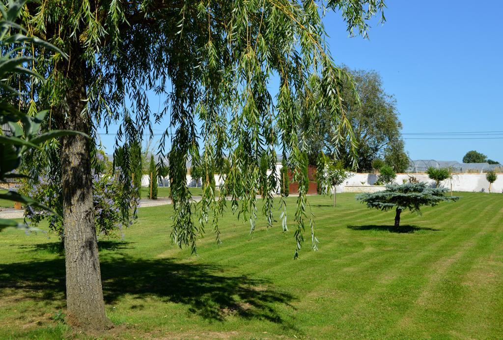 Le Coteau De Bazeille Sauna&Detente Sas Sainte-Bazeille Bagian luar foto