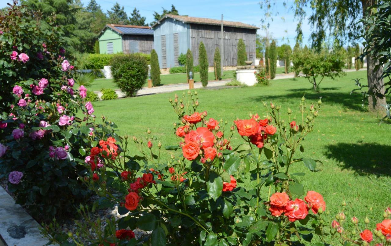 Le Coteau De Bazeille Sauna&Detente Sas Sainte-Bazeille Bagian luar foto