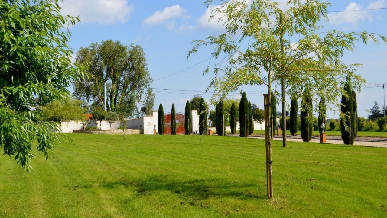 Le Coteau De Bazeille Sauna&Detente Sas Sainte-Bazeille Bagian luar foto